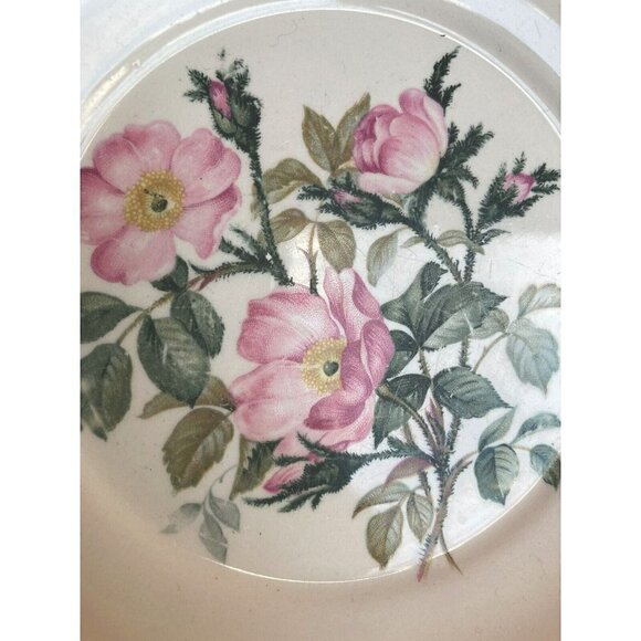 Vintage Wild Rose Harker Pottery Cottage Core 22 kt Gold Rim Soup Bowl 8.5” - Picture 3 of 7